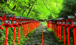 「京都府　新緑の貴船神社の参道」など、春の風景壁紙を公開！