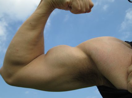 上腕二頭筋の強化　両腕を使って自重で鍛えるトレーニング