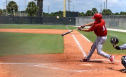 藤原恭大選手 打率上位の理由とは？フォームと戦略の2つのポイント｜千葉ロッテマリーンズ 吉田正尚 冬トレ 首位打者 左打者