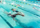 水泳 体の動きを楽に習得！バタフライ初心者向け練習ドリル『イルカ飛び』｜競泳 練習法 やり方 ストローク リカバリー