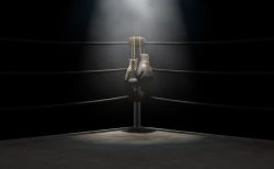 ボクシング 金メダル候補 2大会連続 日本代表 岡澤セオン選手｜アマチュア BOXING