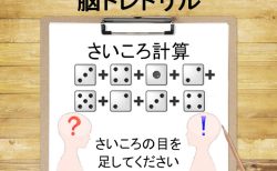 脳科学者監修！週刊大人の脳トレドリル：さいころ計算