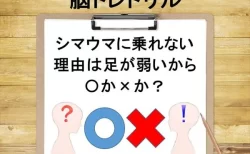 脳科学者監修！週刊大人の脳トレドリル：雑学クイズ