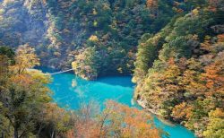 「逆さ紅葉」の絶景を楽しめる！東京近郊の水辺の紅葉スポット