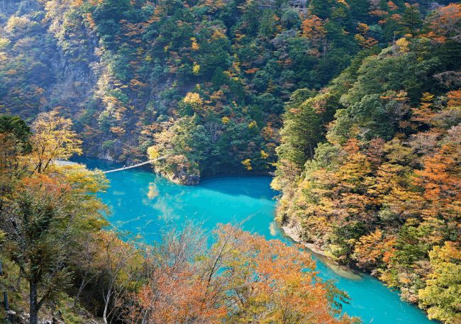 「逆さ紅葉」の絶景を楽しめる!東京近郊の水辺の紅葉スポット