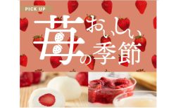 どこも人が多いGWに、外出しなくても九州の本格グルメを自宅で楽しめる ― 手軽に旅行気分を味わえ【九州お取り寄せ本舗】