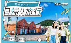 ワンデイパスや利用券付きで満喫!【びゅうトラベル】の遊べる日帰り旅