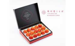 “私はあなたを喜ばせる” ― 【苺の花ことば】が贈る、この夏極上ギフト3選!