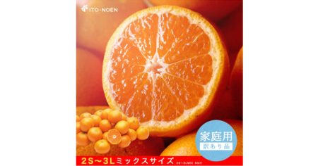 美味しいのに可哀想な”訳ありみかん”！？【伊藤農園のやまきずくん】をFMVキャッシュバックモール経由で購入しよう！