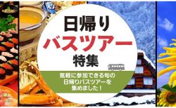 新緑やあじさいが楽しめる初夏！移動も快適な【クラブツーリズム ★国内旅行★】のバスツアーで満喫しましょう♪