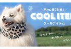 今年もきっと寝苦しい夏… ― そんな不安を吹き飛ばす【快眠タイムズ】のグッズを今すぐチェック!