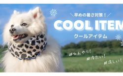 “暑いのはご主人様だけじゃないの”― そんなワンちゃんの心の声が聴こえたなら迷わず【Wan-Voyage】へ