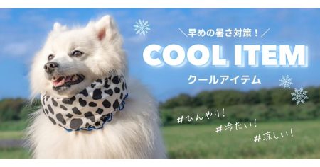 “暑いのはご主人様だけじゃないの”― そんなワンちゃんの心の声が聴こえたなら迷わず【Wan-Voyage】へ
