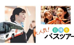 日帰りでもしっかり満喫 ― 【読売旅行】なら満足度抜群の人気バスツアーが揃っています