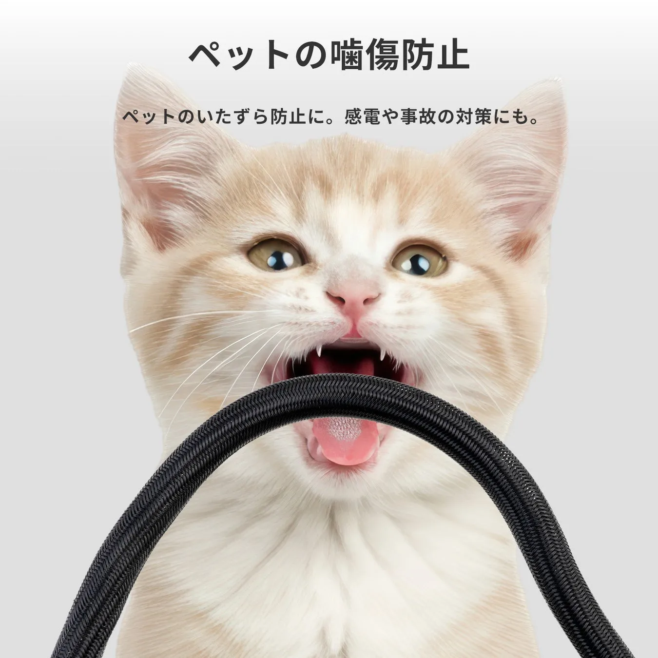 ケーブルを咥えた猫の画像。ペットの噛み傷防止と感電や事故の対策をアピールする広告。