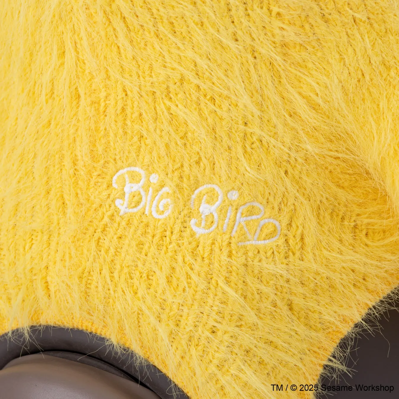 セサミストリートのビッグバードのクローズアップ画像。ビッグバードのロゴと、著作権情報が見える。