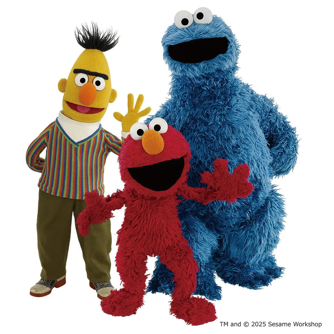 セサミストリートのキャラクター、バート、エルモ、クッキーモンスターが一緒に写っている写真です。