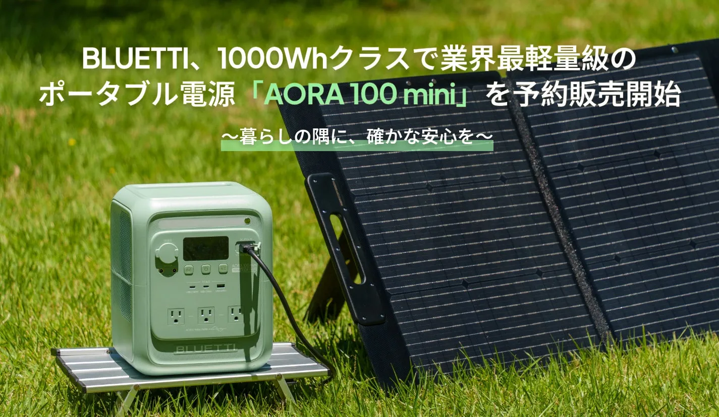 AORA 100 mini 全体像