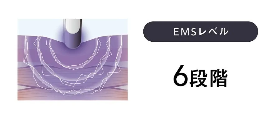EMSのイメージ