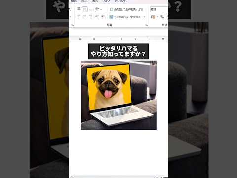 知ってたら爆速で終わる操作 #エクセル初心者 #エクセル学習 #エクセル #excel #事務職