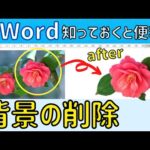 Word 写真の背景を削除。必要な部分だけを切り抜こう！