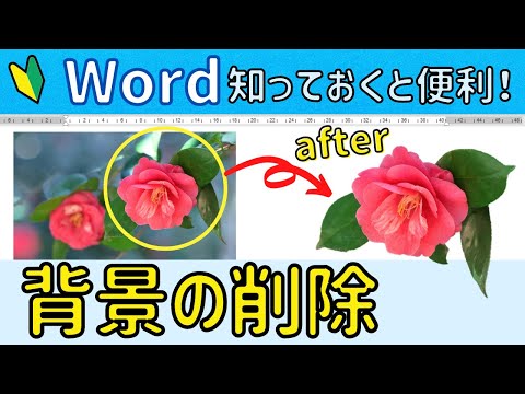 Word 写真の背景を削除。必要な部分だけを切り抜こう！