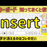 【Insert】入力すると文字が上書きされて消えていくのはなぜ？！上書きモードを解除しよう！
