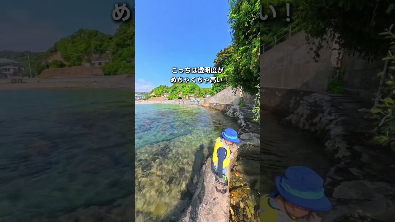 カニの無限城🦀