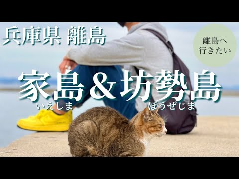 家島・坊勢島を日帰りで旅する（兵庫/関西/観光/離島）