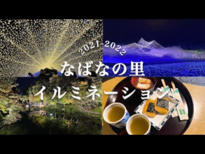 【なばなの里】日本最大級のイルミネーションスポットの回り方を教えます！点灯式 / チケット事前購入 / 雲海 / アイランド富士