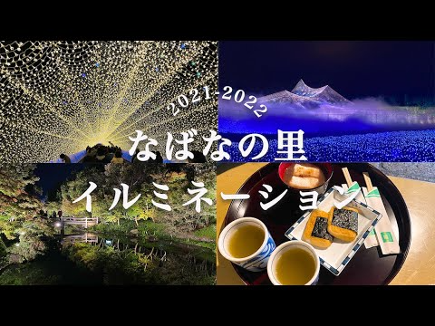 【なばなの里】日本最大級のイルミネーションスポットの回り方を教えます！点灯式 / チケット事前購入 / 雲海 / アイランド富士