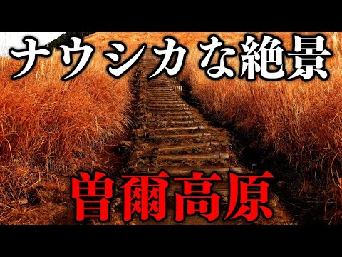 【ナウシカな絶景】曽爾高原 黄金のススキを訪ねて｜4K Japan Walk Tour Ghibli superb view