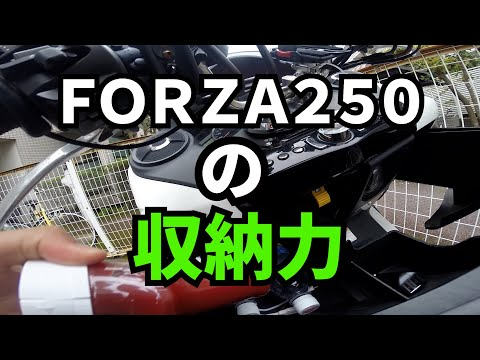 【ビクスク】フォルツァ２５０の収納力がやばすぎる【モトブログ】