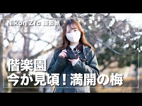 【偕楽園】Nikon Zfcで満開の梅を撮影