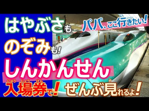 しんかんせん はやぶさ・のぞみ・かがやき・こまち　子供向け無料動画●おぼえよう！かっこいいしんかんせん！シンカリオン！【入場券なら140円で●東海道新幹線も東北・上越・北陸新幹線も全部一気に見放題】