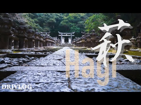 【旅情気分】寺院に世界遺産　こんなに面白いとは思わなかった　重厚な雰囲気すぎる　歴史たっぷりの町おすすめ観光地を全てまわる