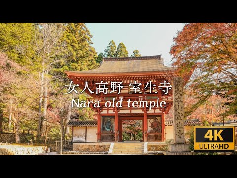 【Japan in 4K】奈良県「女人高野 室生寺」の散策（奥の院・紅葉・アクセス）