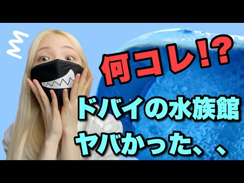 ドバイにある不思議な水族館に行ってみた‼️