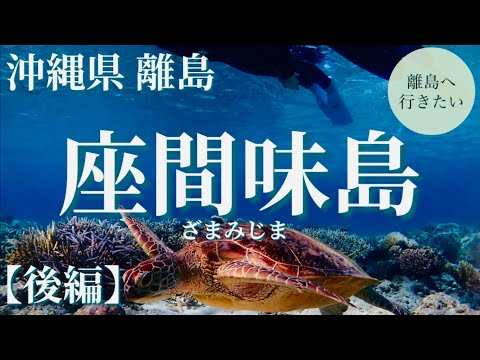 【座間味島】座間味ホエールウォッチング鯨とウミガメを見る（沖縄/慶良間/観光） #2