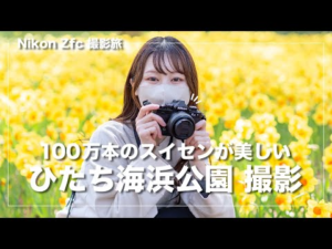 【ひたち海浜公園】Nikon Zfcで100万本のスイセンを撮影